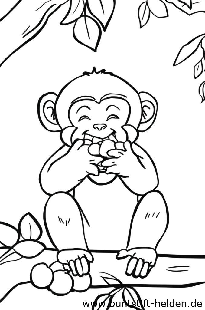 affe isst frucht 2