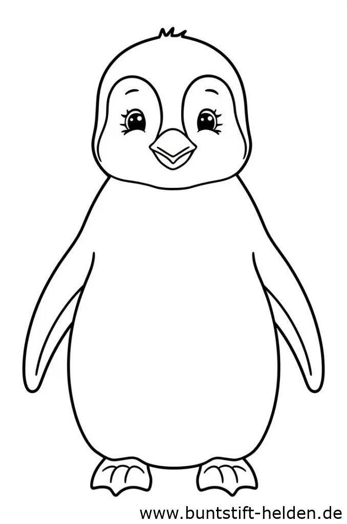 baby pinguin 1