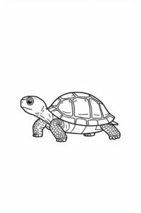 baby schildkroete 1
