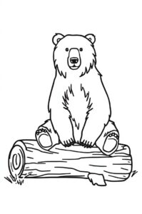 baer auf baumstamm 1