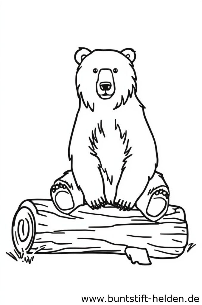 baer auf baumstamm 1