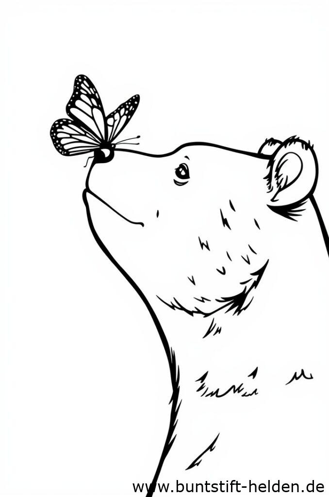 baer mit schmetterling 1