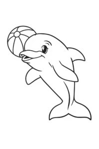 delfin mit ball 1