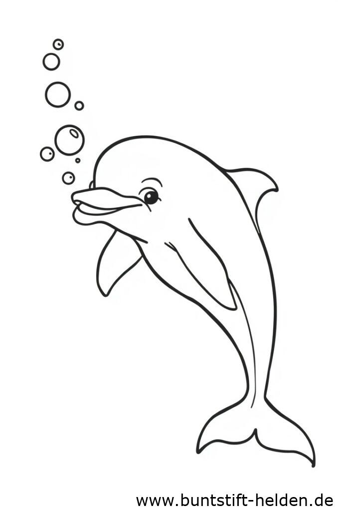 delfin mit blasen 2