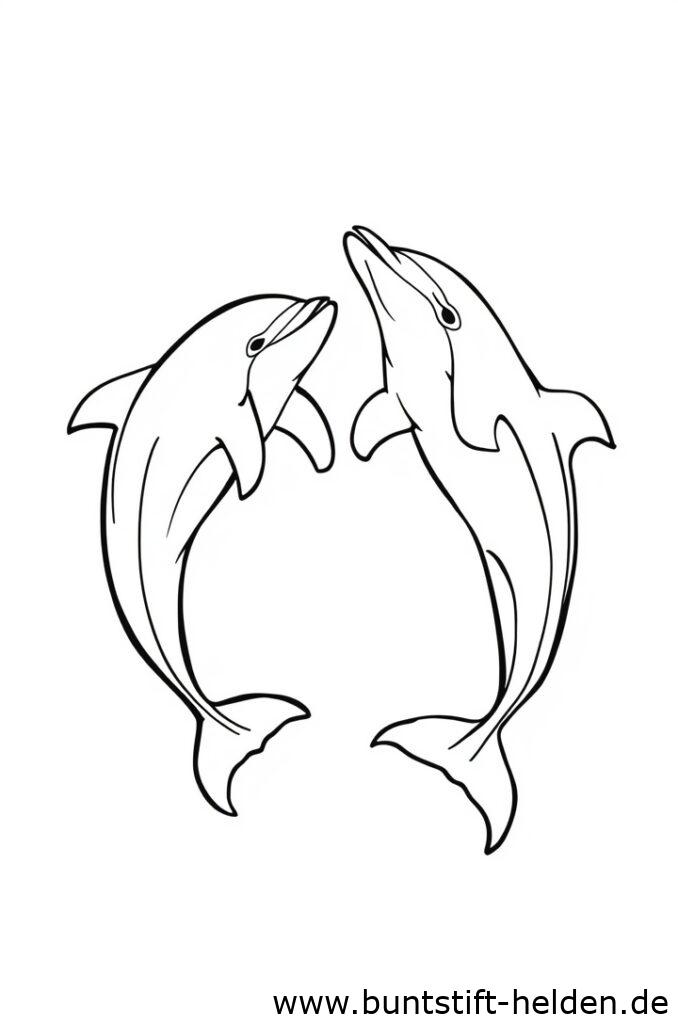 delfin tanzt 2