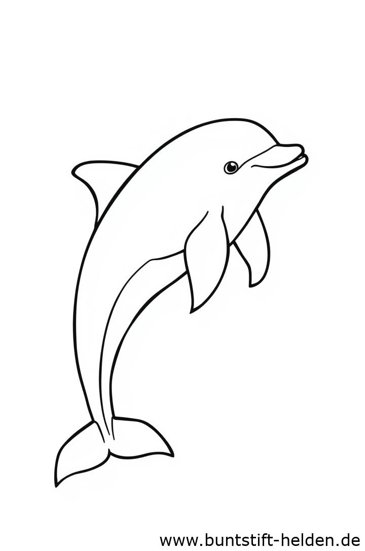 Vorschaubild für die Kategorie Delfine