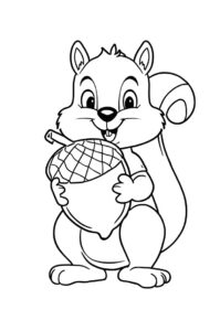 eichhoernchen mit eichel 1