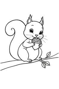 eichhoernchen mit nuss