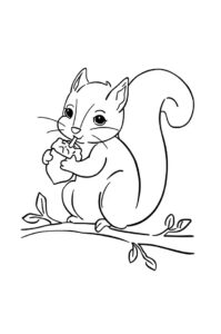 eichhoernchen mit nuss