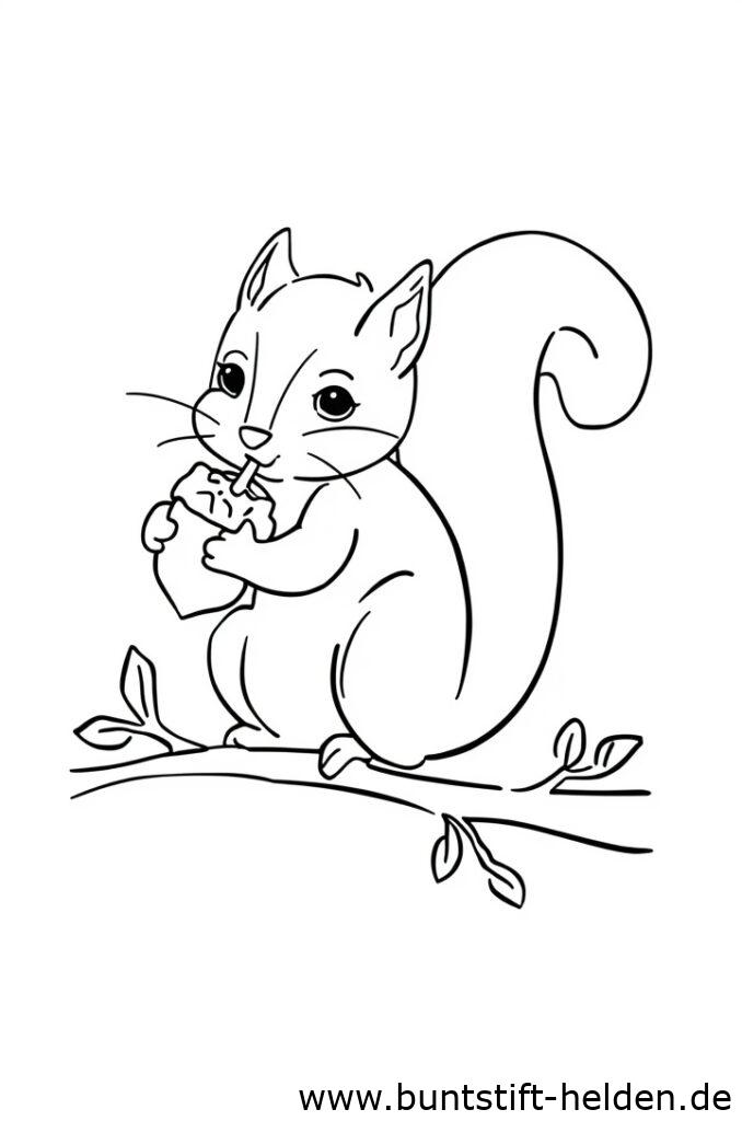 eichhoernchen mit nuss