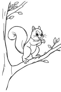 eichhoernchen springt 1