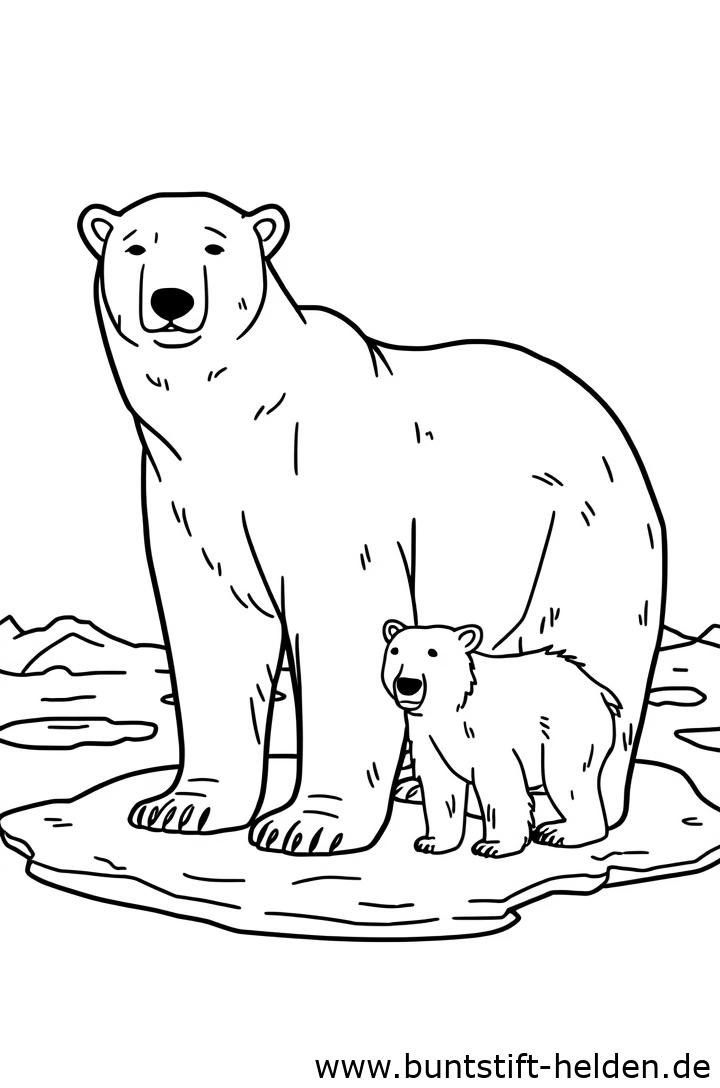 Vorschaubild für die Kategorie Eisbären