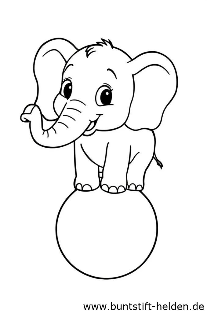 elefant im zirkus 2
