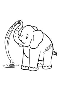 elefant spritzt wasser