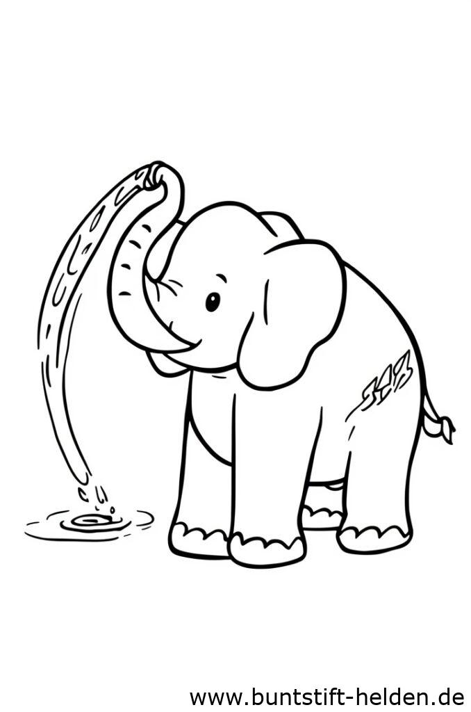 elefant spritzt wasser