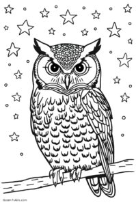 eule mit sternen 1