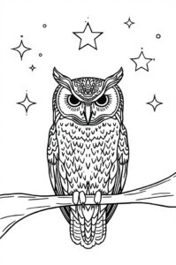 Eule Mit Sternen
