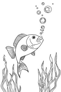 fisch mit blasen 2