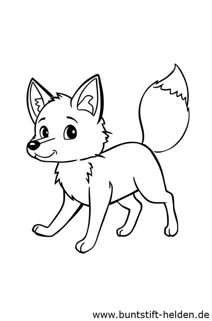 Vorschaubild für die Kategorie Füchse