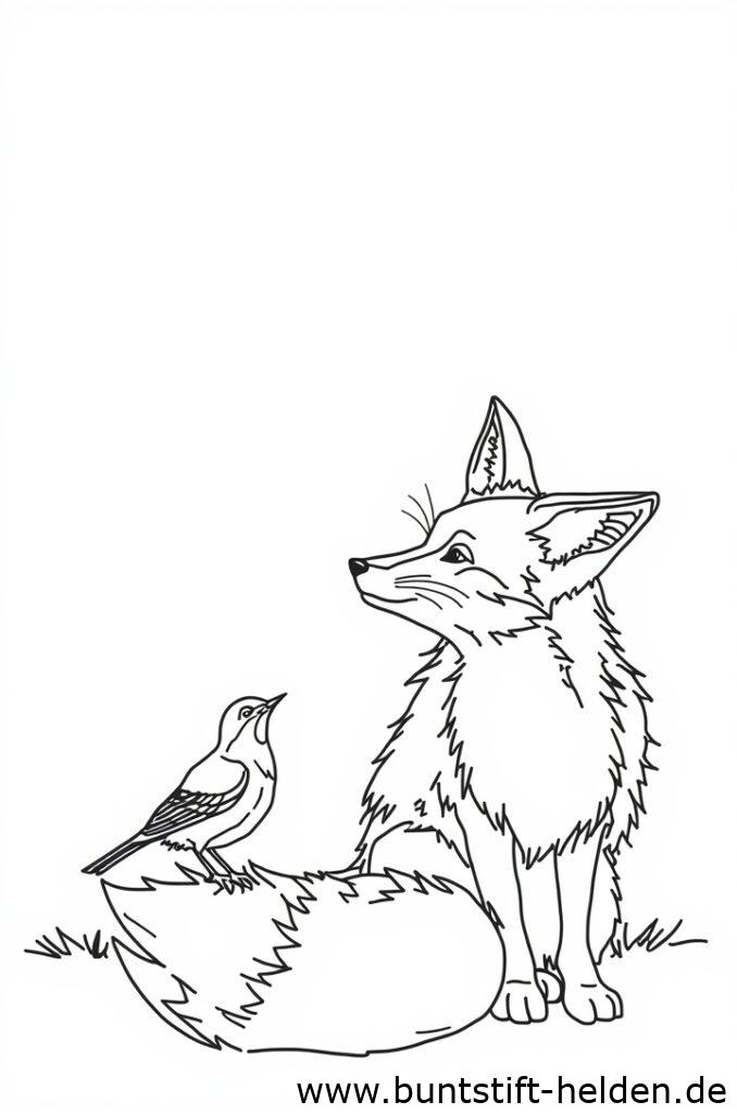 fuchs mit vogel 1