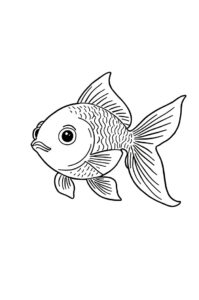 goldfisch 2
