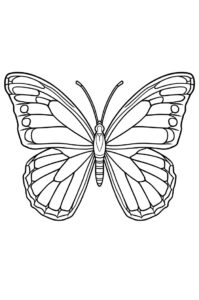 Großer Schmetterling