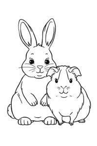 hase und meerschweinchen 2
