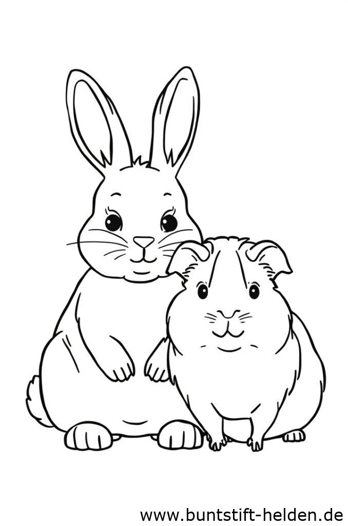 hase und meerschweinchen 2