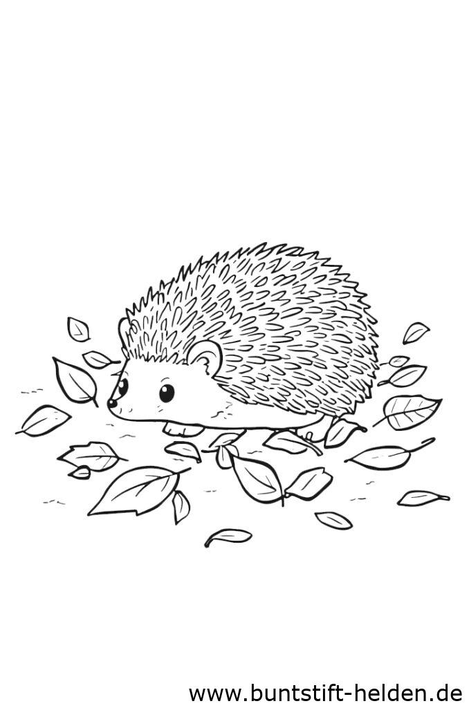 igel im laub da