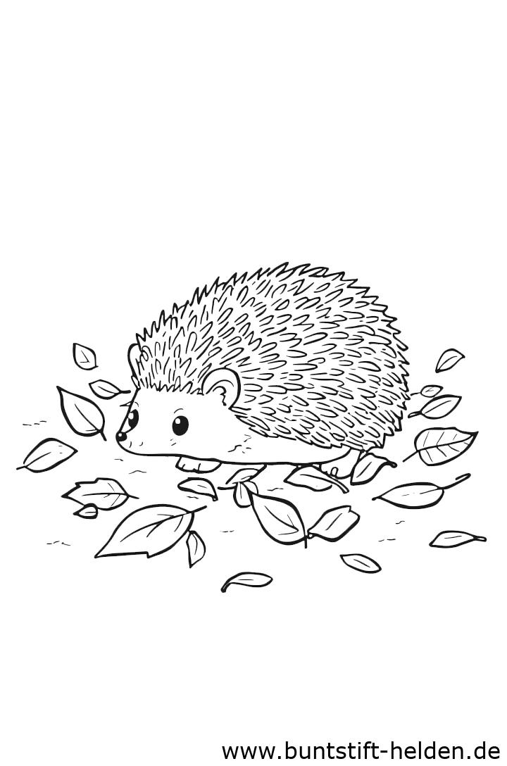 Igel im Laub Ausmalbild - Kostenlose Malvorlage zum Herunterladen