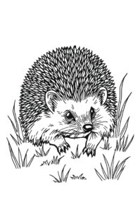 Igel Springt