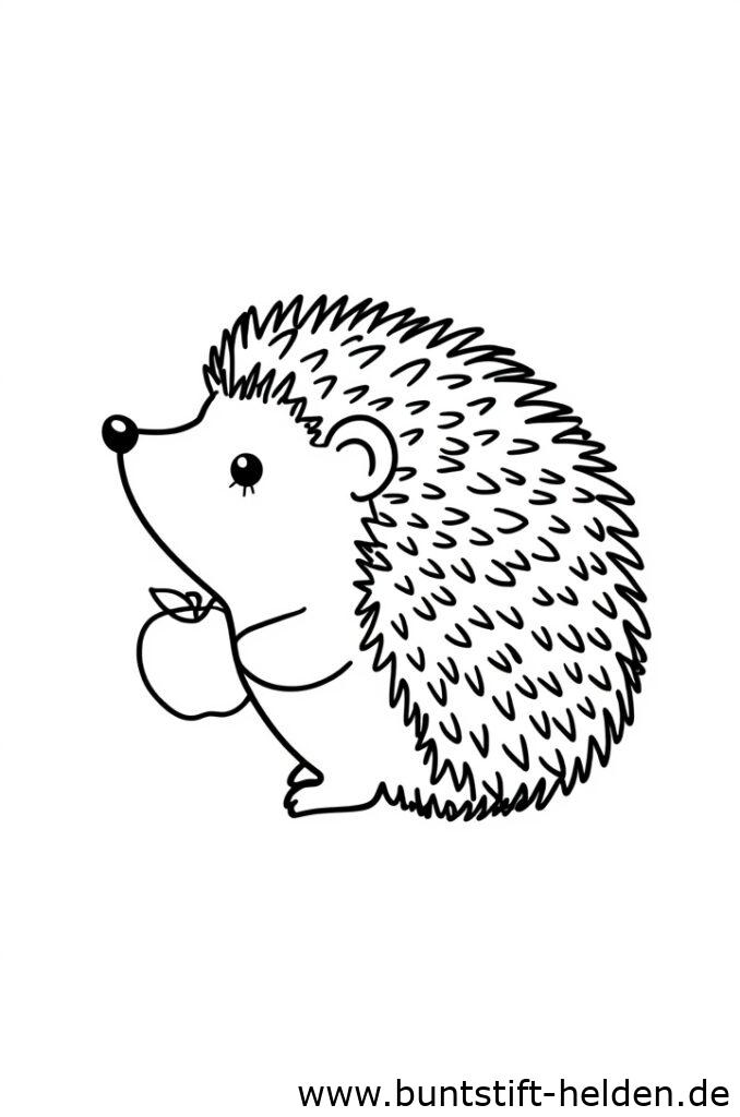 igel mit apfel 1