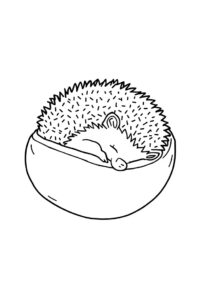 igel schlft 1