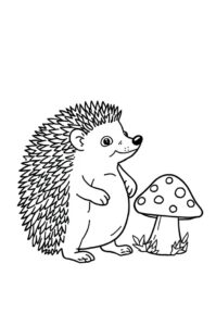 Igel Und Pilz