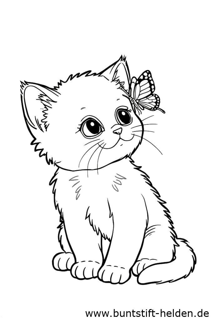 katze mit schmetterling 1