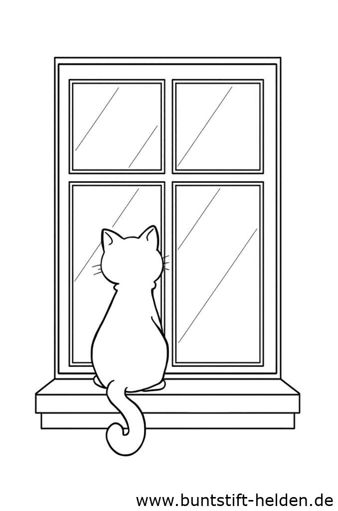 katze schaut aus dem fenster 2