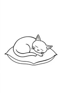 Katze Schläft Auf Dem Kissen