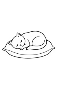 katze schlaeft auf dem kissen 2
