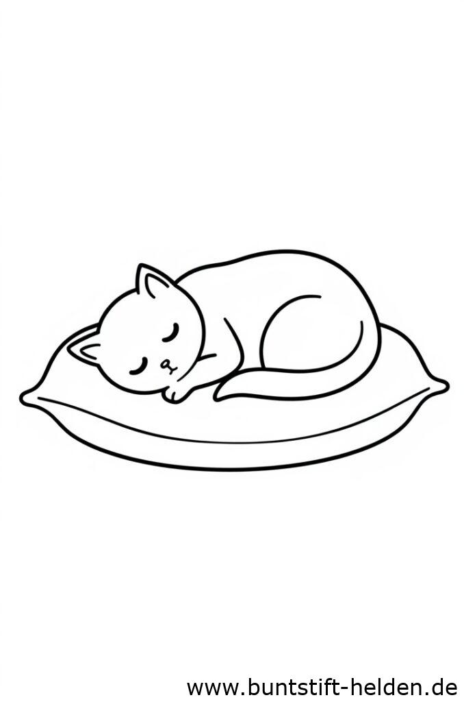 katze schlaeft auf dem kissen 2