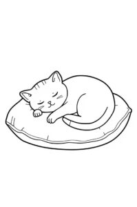 Katze Schläft Auf Kissen