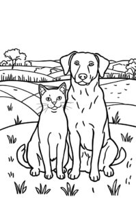 Katze Und Hund Auf Hof