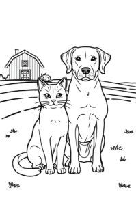 katze und hund auf hof 2