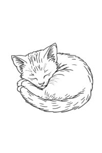 Katzenbaby Schläft