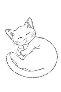 katzenbaby schlaeft 2