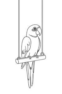 papagei auf schaukel 1