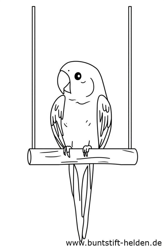 papagei auf schaukel 2