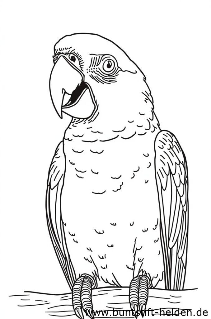 papagei spricht 2