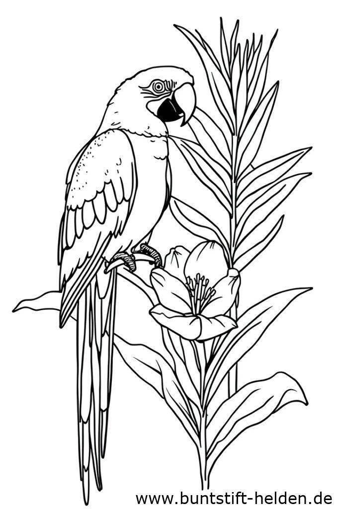 papagei und blume 1
