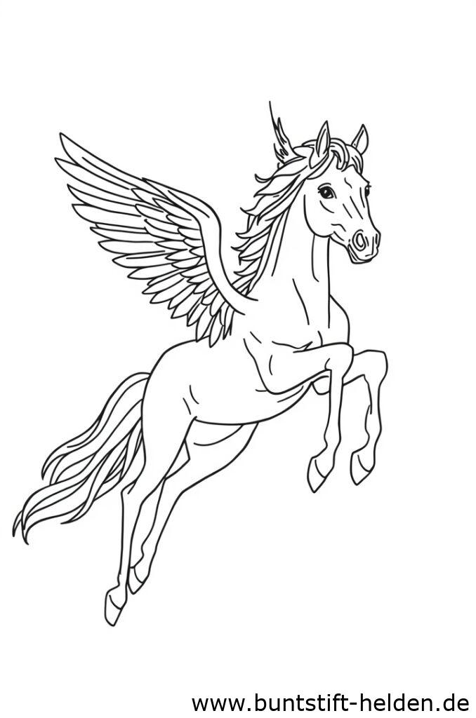 pegasus fliegt da