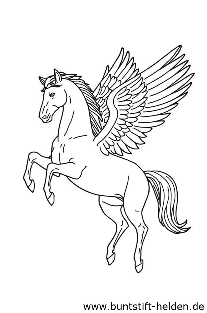 pegasus landet 1